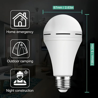 Ignatius LED Light Bulb - image 5