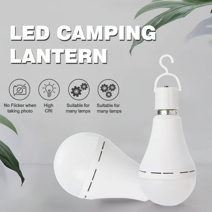 Ignatius LED Light Bulb - image 9