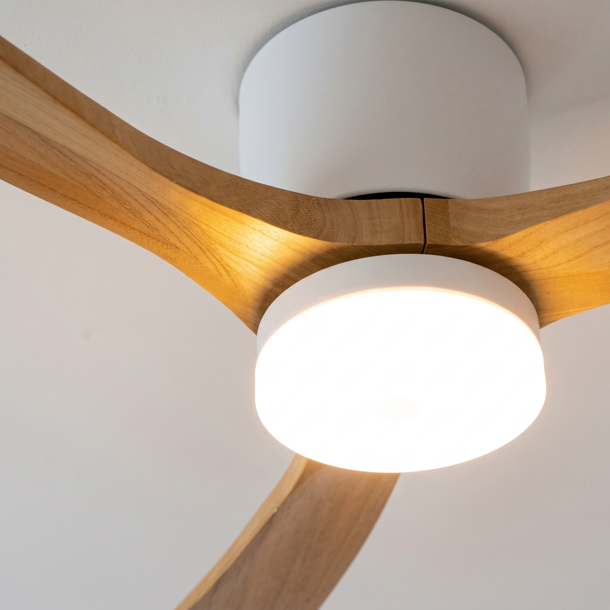 Soren Wooden Ceiling Fan Light - light close-up