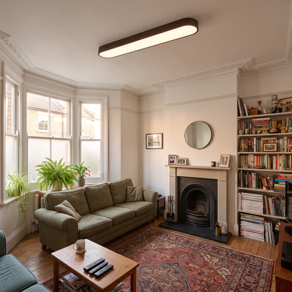 Elodie dark wood oval ceiling light in a Victorian terrace living room