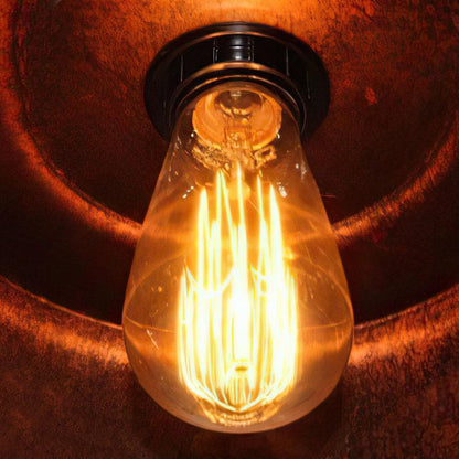 Rafferty rustic dome pendant light – filament bulb close-up