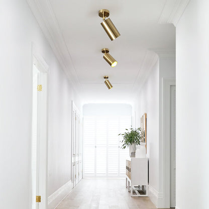 Remy adjustable spot ceiling light – in brass in a hallway